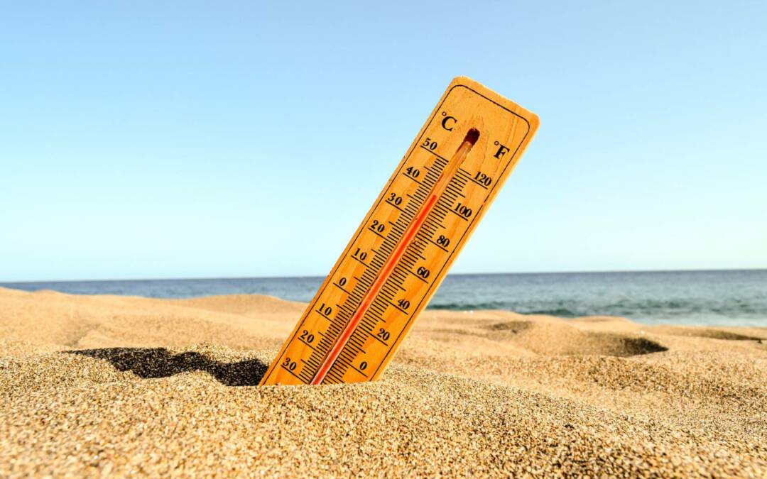 Plan Canicule 2025